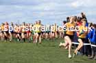 Intermediate Girls 2024 English Schools Cross Country Champs., Pontefract, March 16th.  Photo: David T. Hewitson/Sports for All Pics